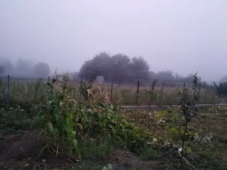 Photography of Nature , The Story of Fog