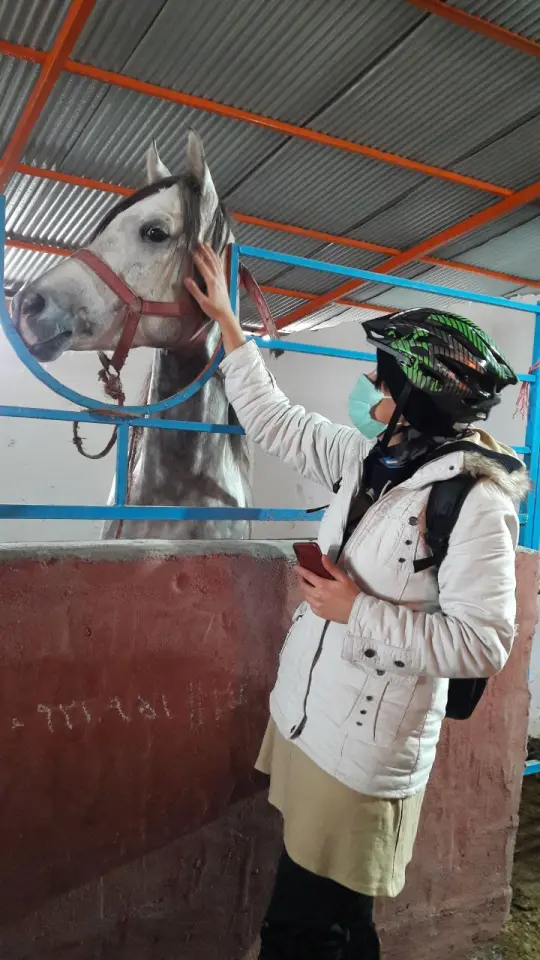 Photography of Cycling, The Story of horses