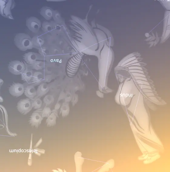 Pavo and Indus
