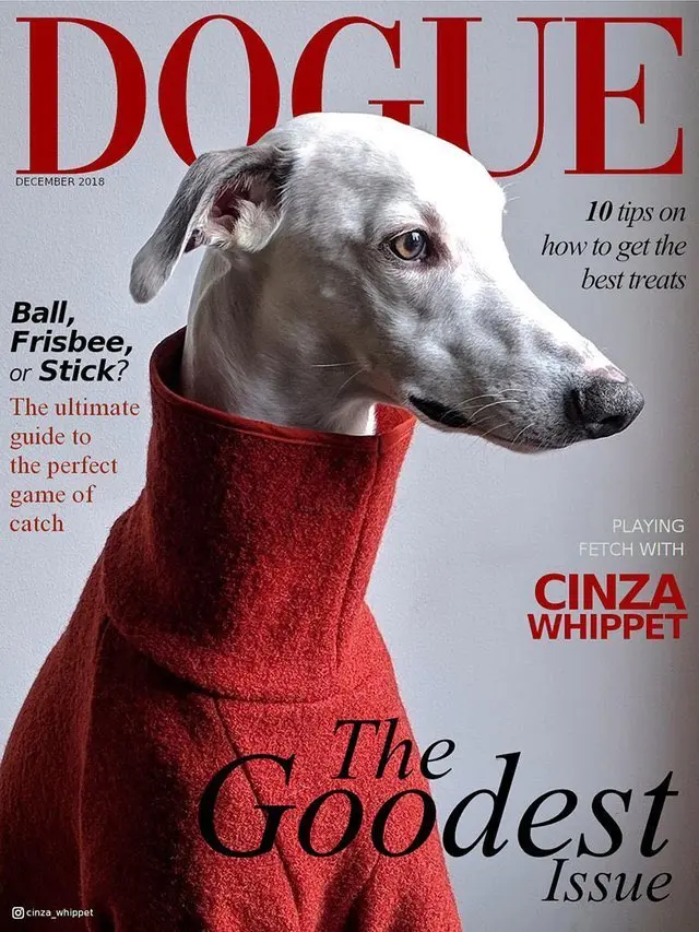 Elon Musk - Dogue