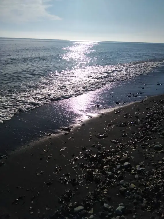 Photography of Cycling, The Story of The Beach under Sunlight