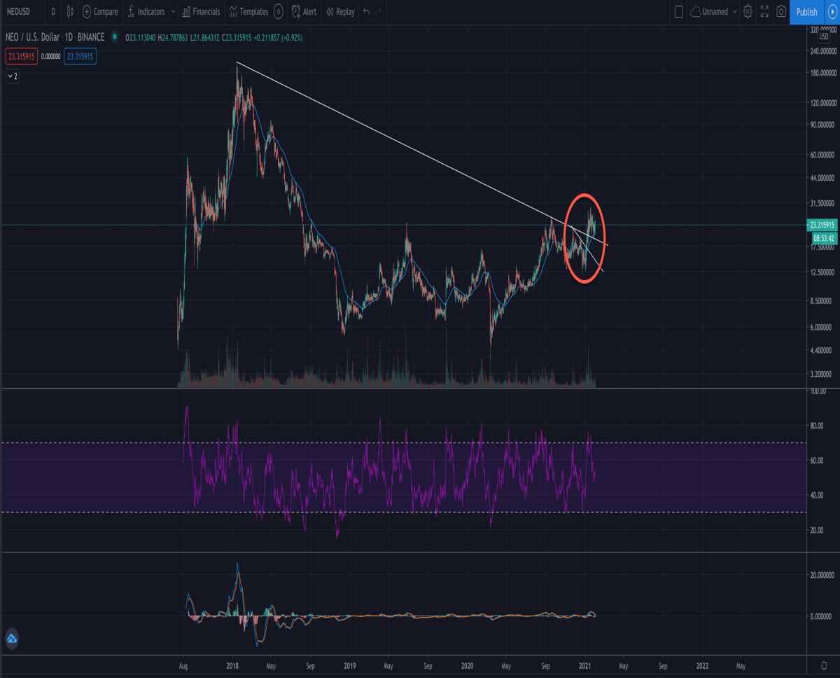 Neo bull beginning?