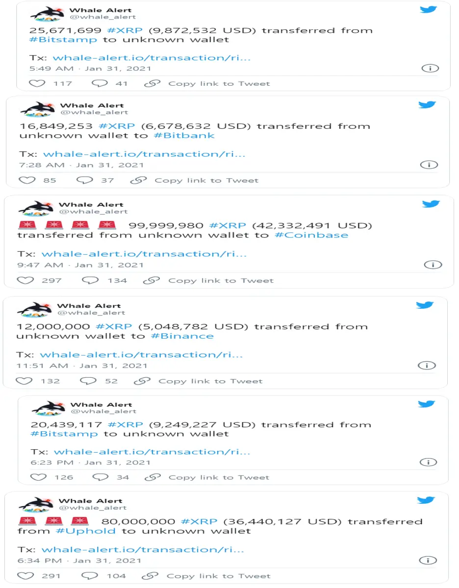 some whale alerts