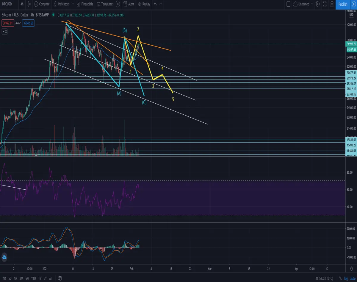 Bitcoin Bear count