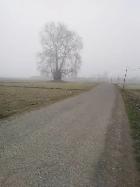 Riding in the Fog, Once Again, An Invisible Adventure