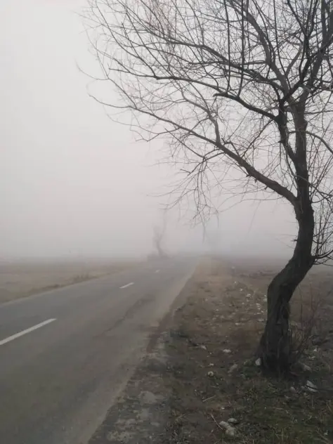 Riding in the Fog, Once Again, An Invisible Adventure