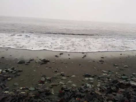 Riding in the Fog, Once Again, An Invisible Adventure