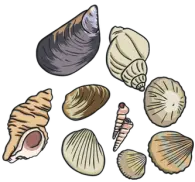 351665157-876edec195ce92d5ee9d920816ea1ae88249e90b4083cb974c9cb6202fb1dbfd.png