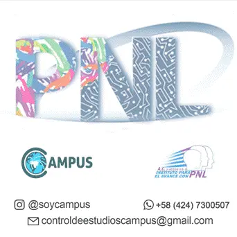 pnl3