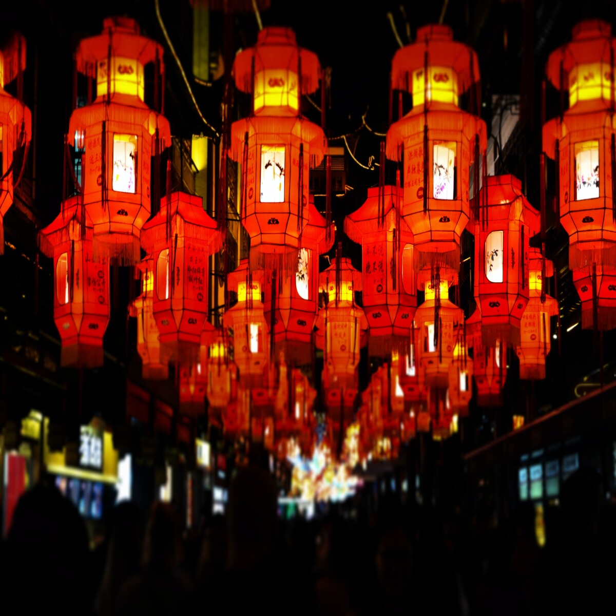 https://unsplash.com/photos/v7r8kZStqFw?utm_source=unsplash&utm_medium=referral&utm_content=creditShareLink