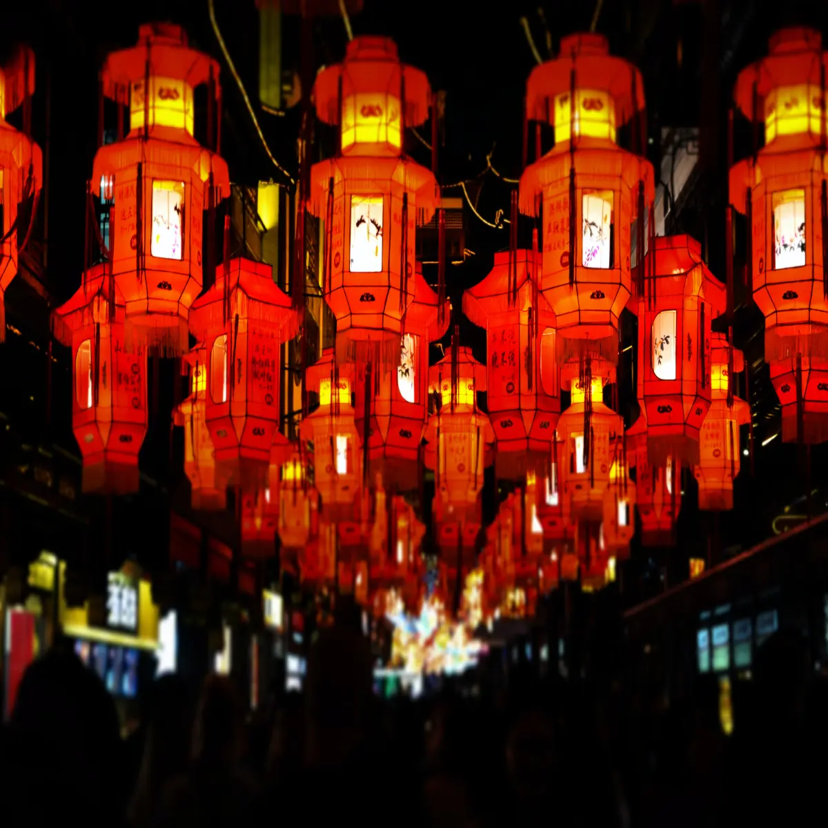https://unsplash.com/photos/v7r8kZStqFw?utm_source=unsplash&utm_medium=referral&utm_content=creditShareLink