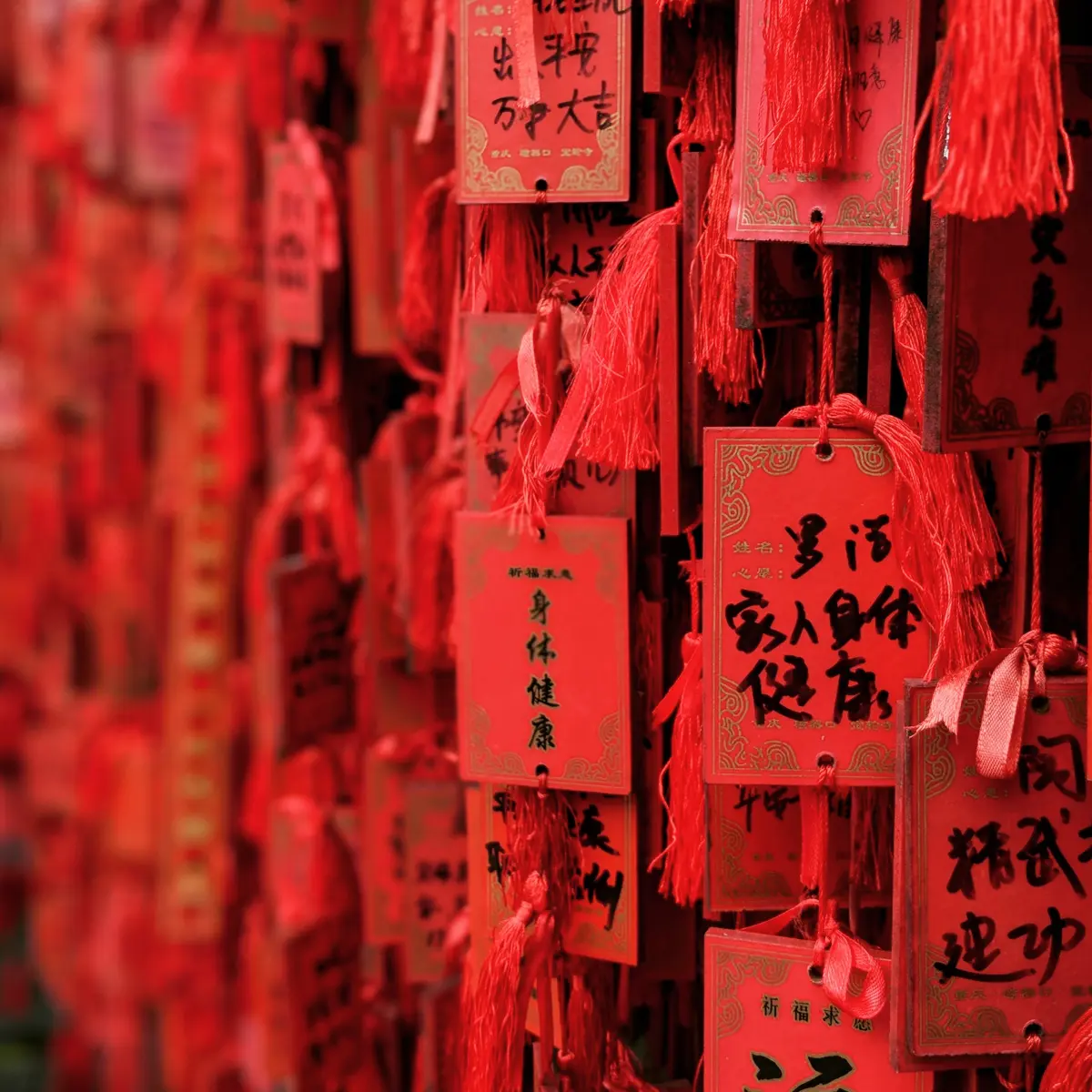 Lunar Chinese New year