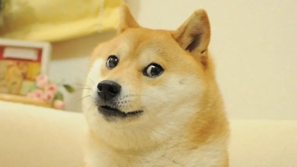 0e073bf5219341a6901235a5ce163981b4c26a7873c14331d03fd2ce90c8d8f3.jpg