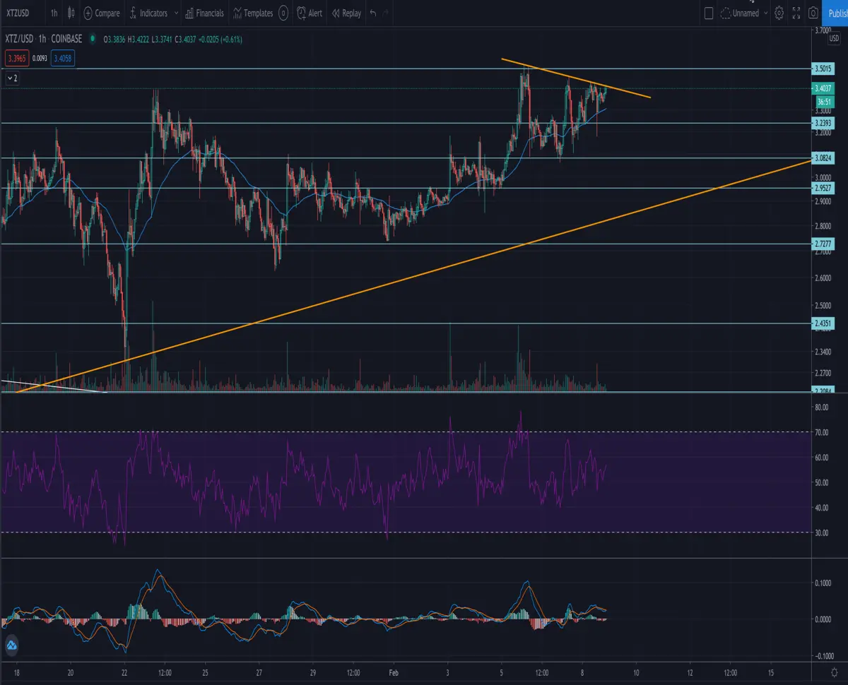 Bullish Tezos