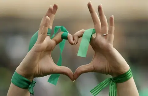 Green movement of Iran, The Story of Resistance and Blood