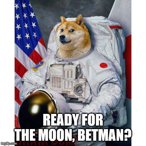 79596610788d97875f1c4c5caaacc21ed77cf6de737f609d30a8f7ae03475a49.jpg