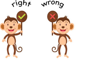 cf9905104ce294e549c5ed06180bebe85fd5fde77e06d3e89bc771f4673e70ea.png