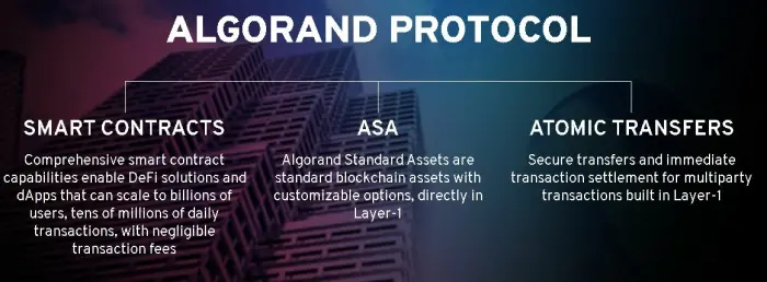 algorand protocol