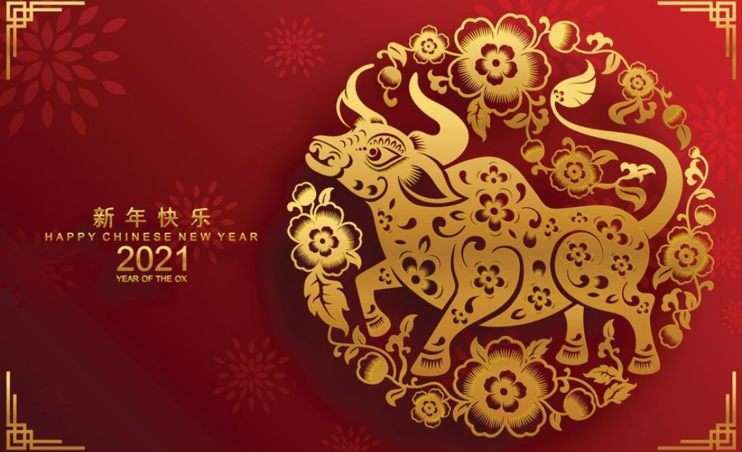 bbc24b9ec44599d0b8c2990a8c5a46257081cfdaec5aae0926d8c85c20306637.png