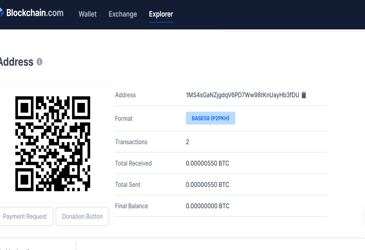 Blockchain explorer