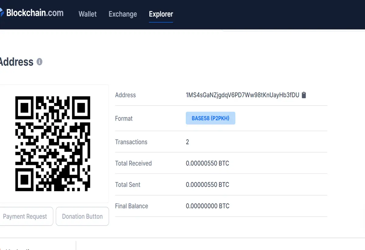 Blockchain explorer