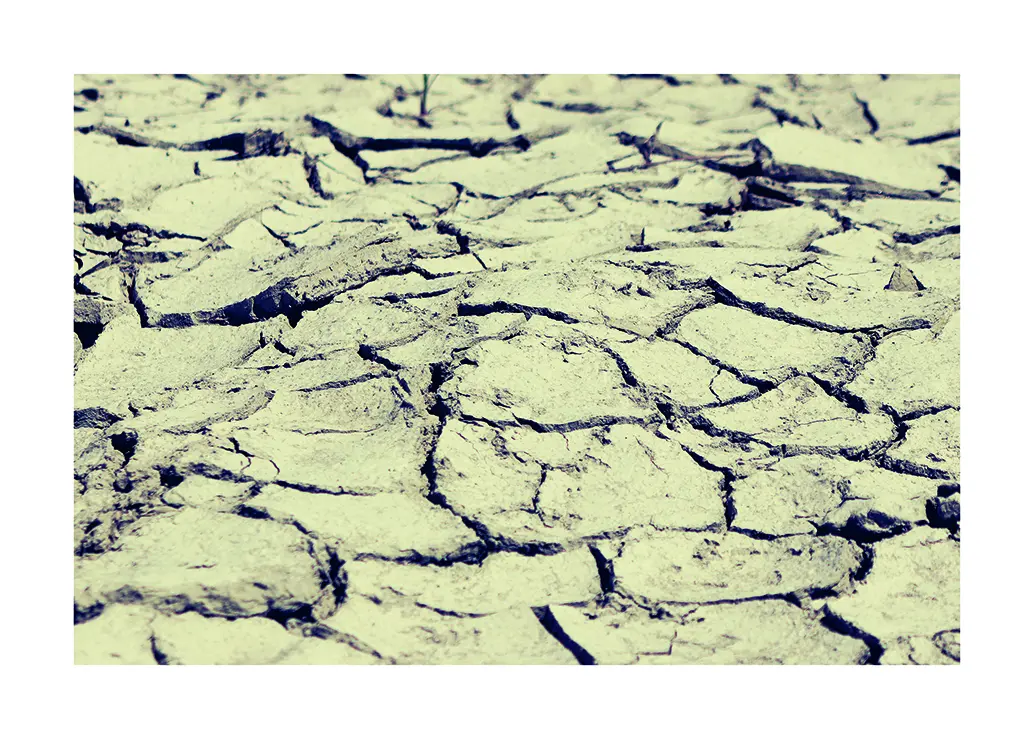 Earth