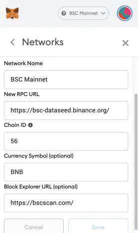 adding bsc network