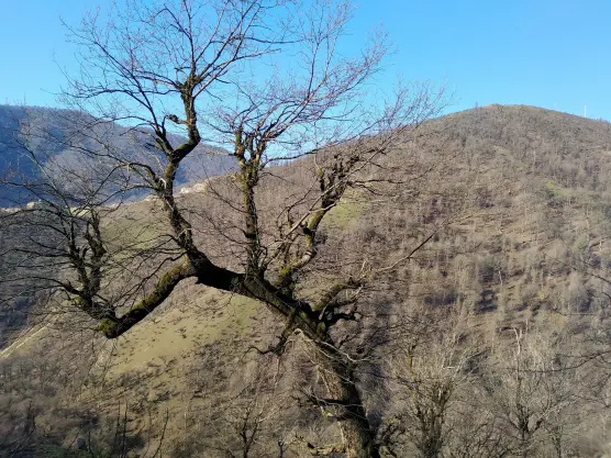 Dangerous Turns, Steep Route & Gorgeous Nature Even in Winter