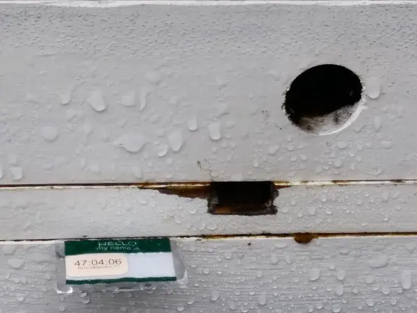 T2 installed in White Hive in normal light