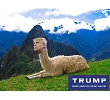 Who will be the Trump of Upland and build an empire?