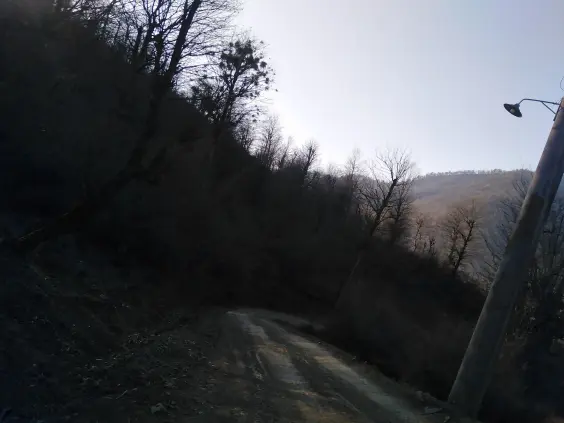 Dangerous Turns, Steep Route & Gorgeous Nature Even in Winter