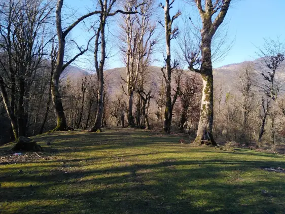 Dangerous Turns, Steep Route & Gorgeous Nature Even in Winter