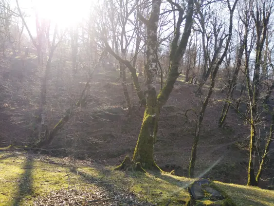 Dangerous Turns, Steep Route & Gorgeous Nature Even in Winter