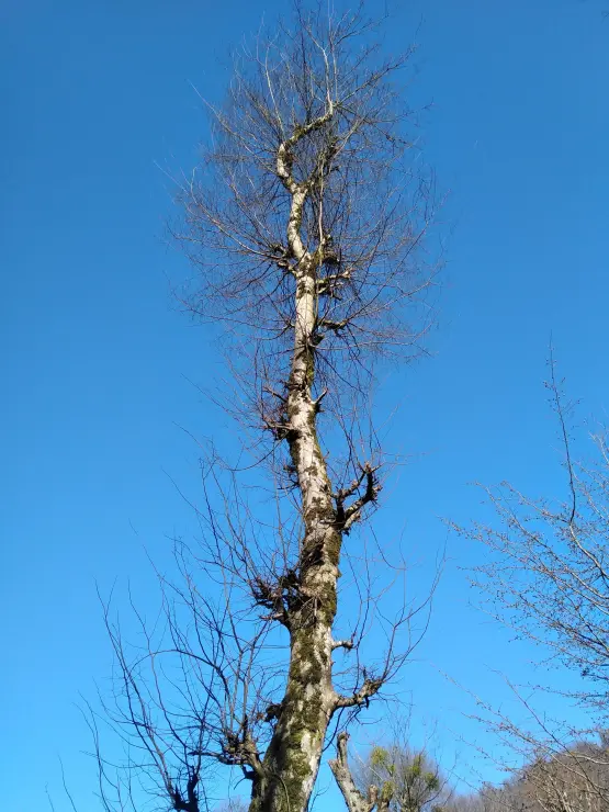 Dangerous Turns, Steep Route & Gorgeous Nature Even in Winter