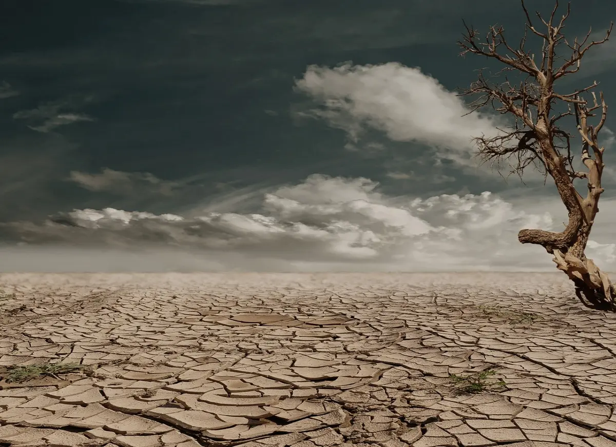 Climate impact