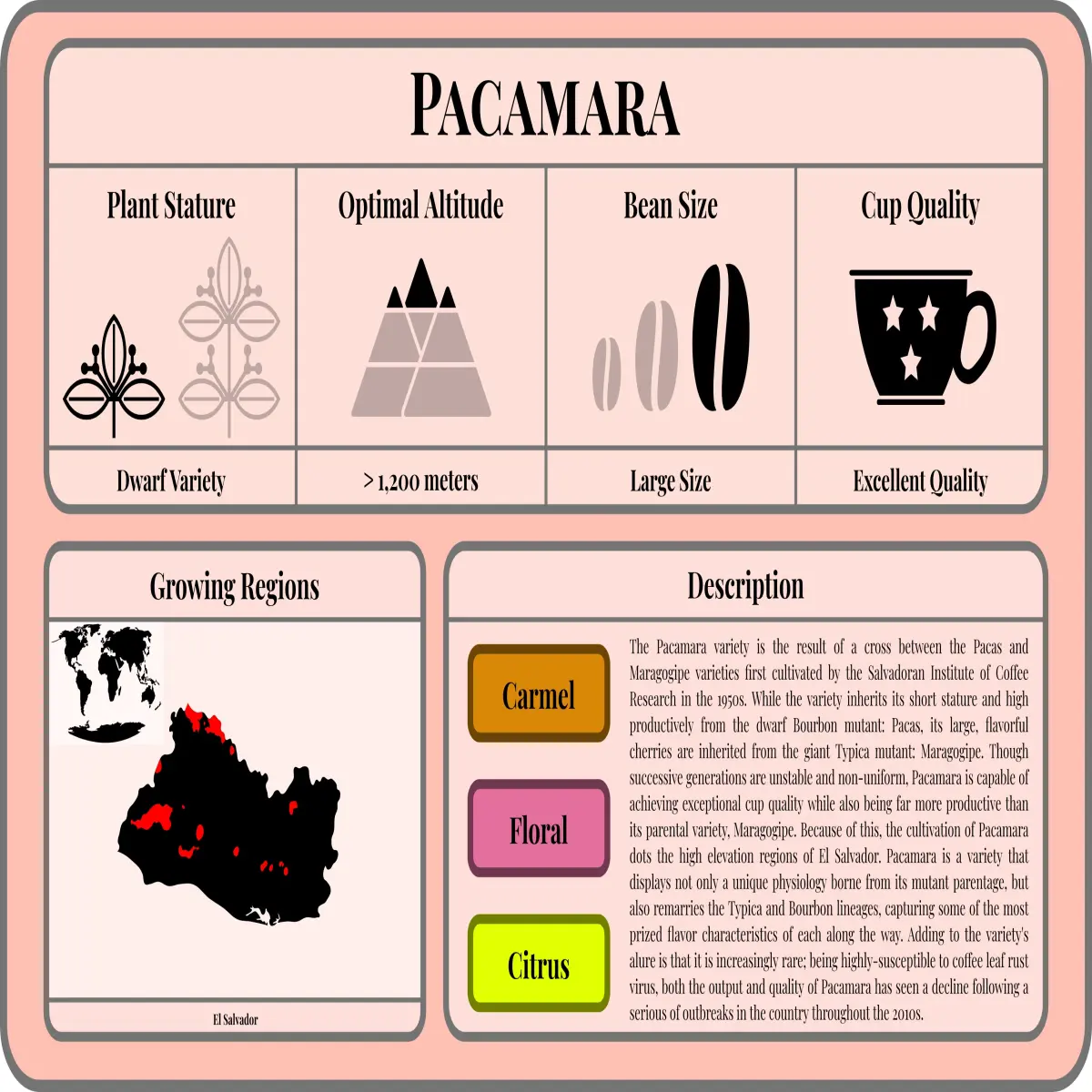 79ee35ae13fc93d9f6f2d1ba66de0e4dada33b7b826ca6ff832f025b8001f28b.jpg