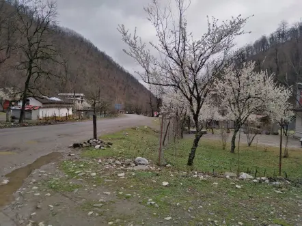 The Maze of Mountain Roads Towards The Snow-Covered Trees