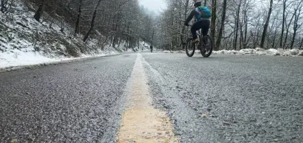 The Maze of Mountain Roads Towards The Snow-Covered Trees
