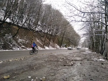 The Maze of Mountain Roads Towards The Snow-Covered Trees
