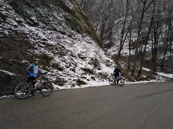 The Maze of Mountain Roads Towards the Snow-Covered Trees (2)