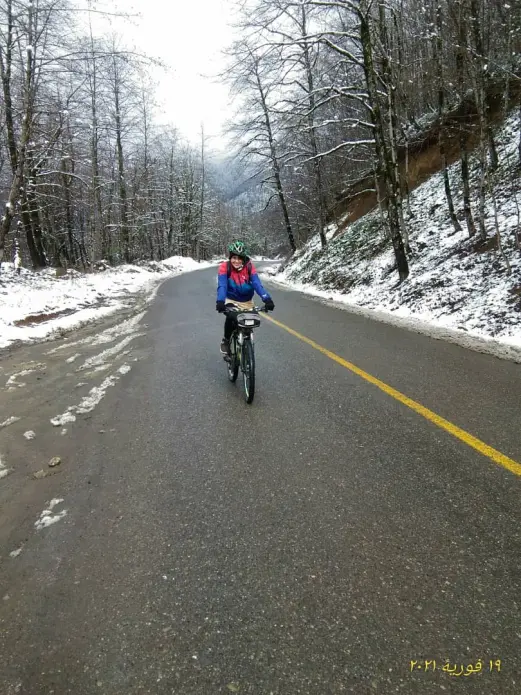 The Maze of Mountain Roads Towards the Snow-Covered Trees (2)