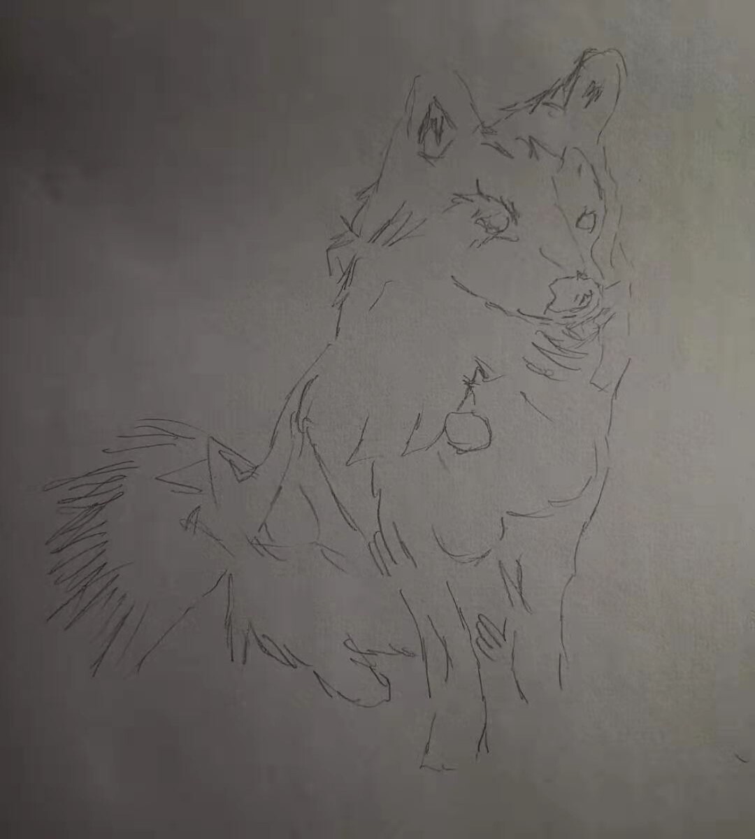 Outline