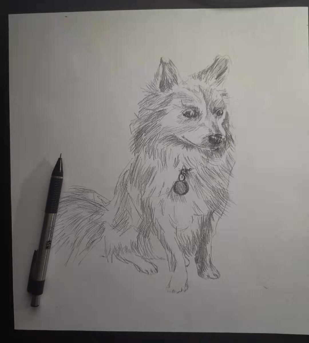 Adding Shade