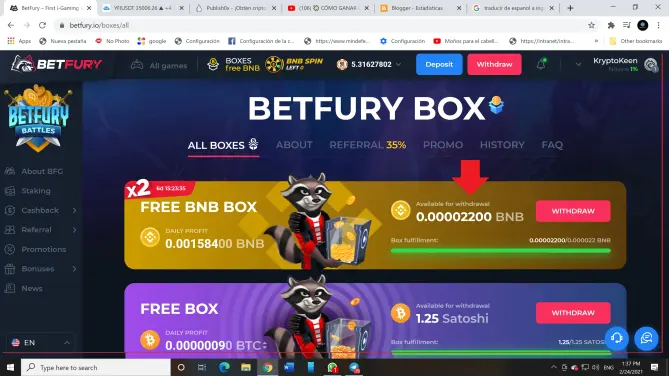 NEW COIN IN BETFURY BNB