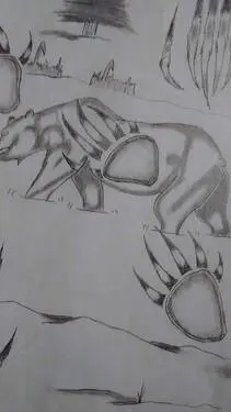 Animals