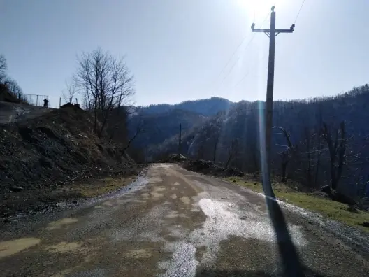 Blossoms! | Another Passionate Morning Bike Ride in The Mountains