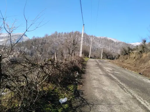 Blossoms! | Another Passionate Morning Bike Ride in The Mountains