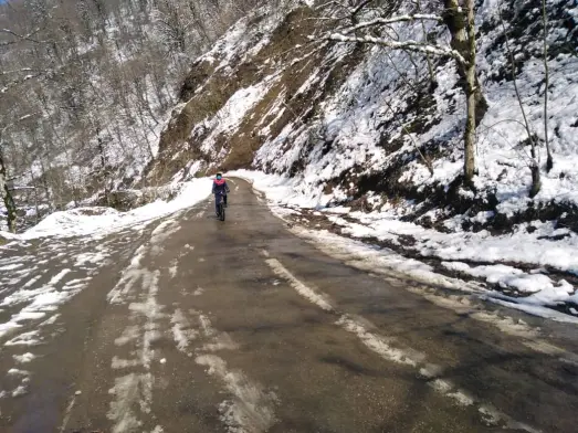 We Passed The Blossoms & Reached The Frozen Mountain Road