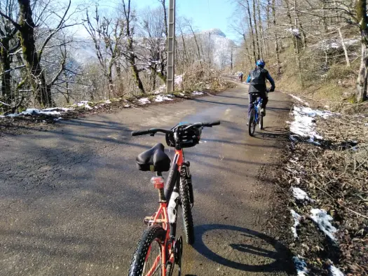 We Passed The Blossoms & Reached The Frozen Mountain Road