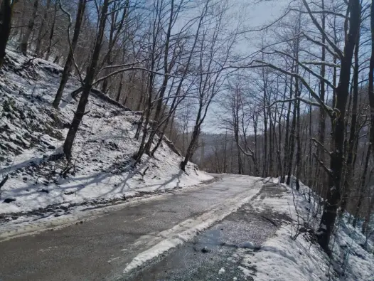 We Passed The Blossoms & Reached The Frozen Mountain Road